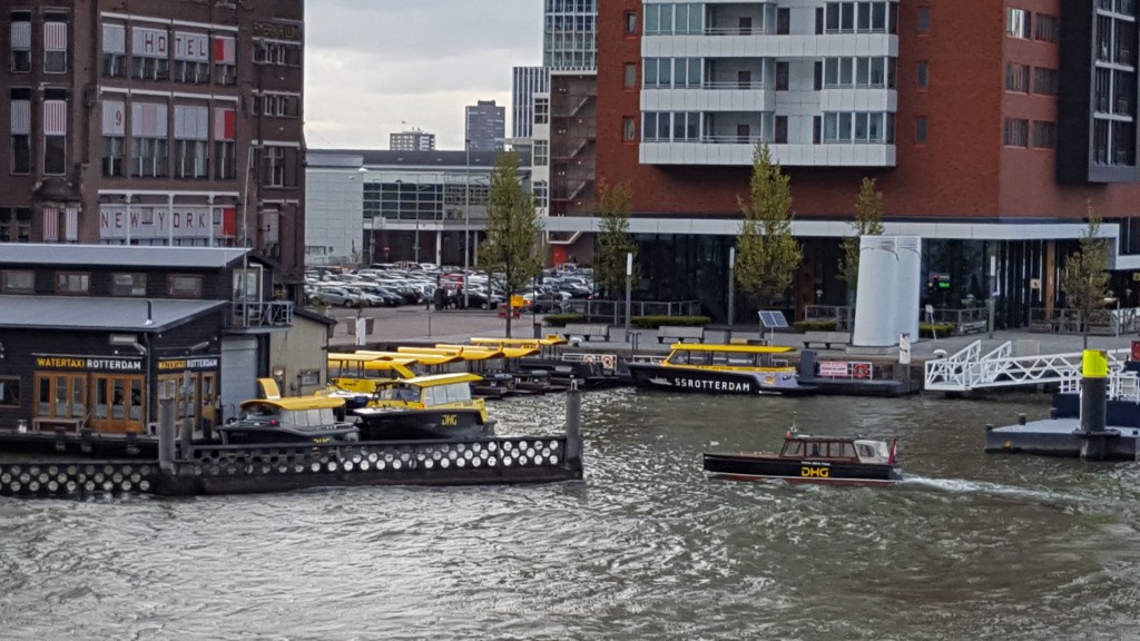 rivieroevers rotterdam